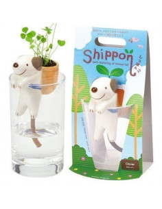 Acheter Kit pour faire pousser ta plante - singe dans un verre - basilic En  ligne