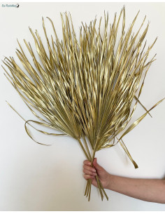 5-feuilles-de-palmiers-seches-dores-65-cm