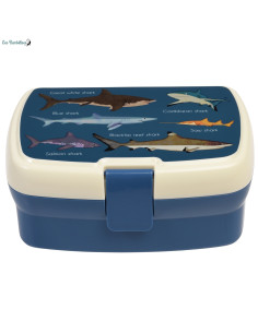 Jarlson Boite a gouter Enfant BILLI - Lunch Box avec 4 compartimentss -  Bento Box sans BPA - pour l'école et la Maternelle - 850 ML