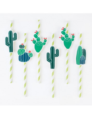 12 pailles rayées avec cactus my little day